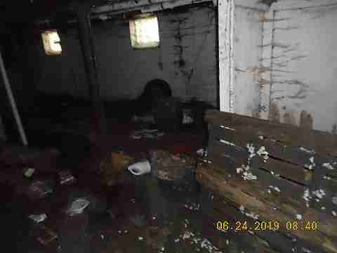 8066 Curt (42)_m.jpg